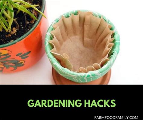 Clever Gardening Hacks And Tricks That You Never Thought Of