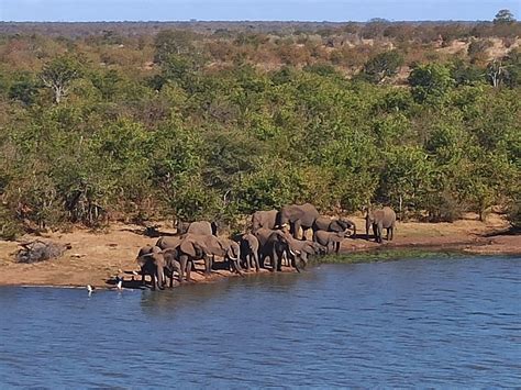 Mopani Rest Camp Updated 2023 Campground Reviews Kruger National