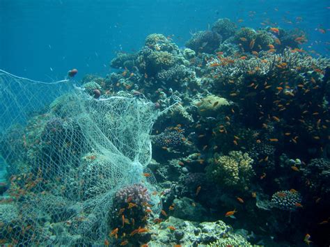 Ghost Nets Haunt The Worlds Oceans Hunting Beyond The Grave Atlas