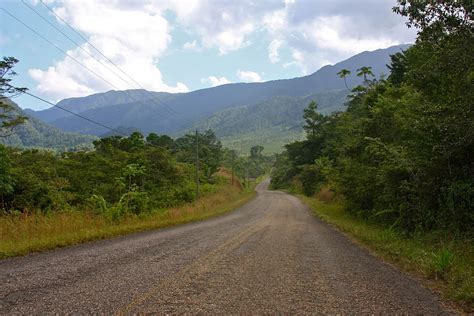 Gales Photo And Birding Blog Hummingbird Highway In Belize