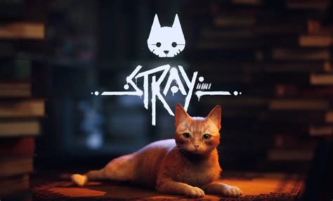 'Stray' a new roleplaying video game where you can play as a stray cat ...