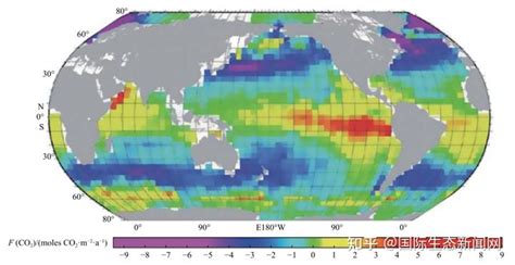 海洋论坛 宋金明等：海洋碳汇观测与评估的现状与思考 知乎