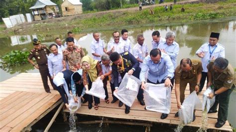 Edhy Prabowo Dan Gubernur Herman Deru Tebar Benih Ikan