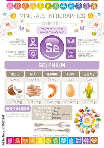 Selenium Mineral Supplement Rich Food Icons Healthy Eating Flat Icon