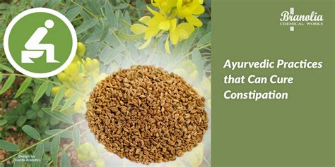 7 Best Ayurvedic Cures For Constipation Branolia