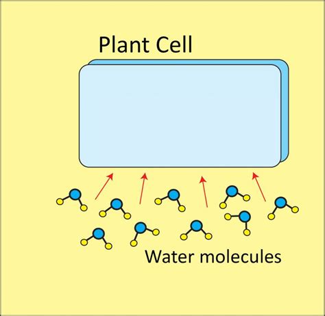 Water and Humidity, Water Potential