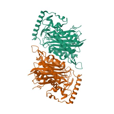 Rcsb Pdb Ihd Crystal Structure Of Uncleaved Thnt T C Derivatized