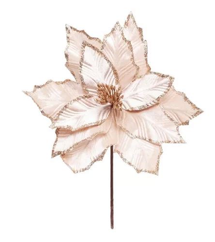 Poinset Nude Con Borde Brillante X X Cm MercadoLibre