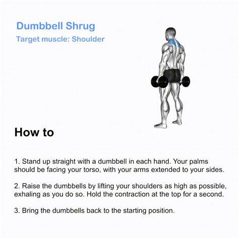 Effective Dumbbell Workout Routine Upper Body Smash Your Limit Burnfit