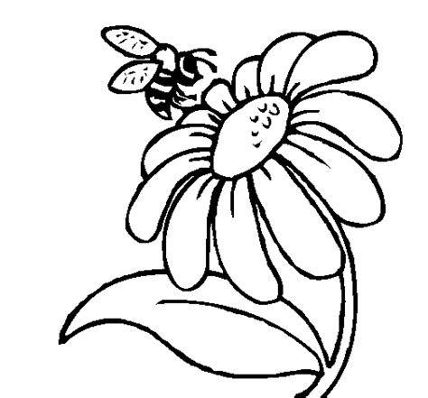 Bee Line Drawing Clipart Best