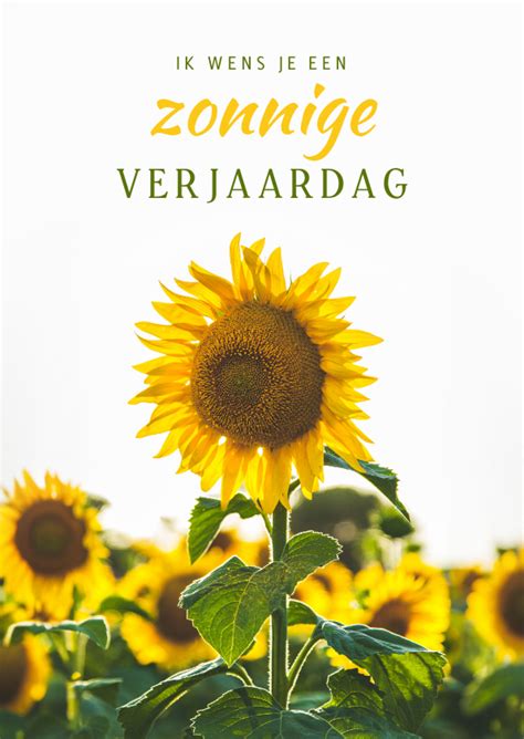 De Zonnebloem Zonnige Verjaardagskaart Met Kaartje2go