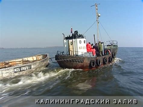 Рыбокомбинат «За Родину», г.Калининград. Каталог: Рыбные пресервы ...