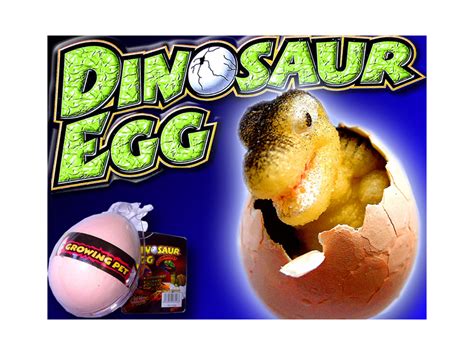 Hatchin Grow Dino Egg The Dinosaur Farm