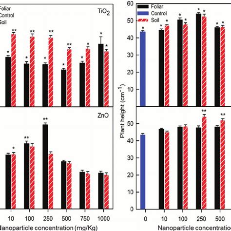 Mechanistic Understanding Of Nanoparticle Uptake Translocation And