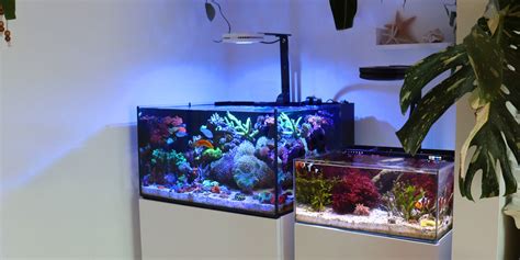 Nano Saltwater Tanks Reef Casa