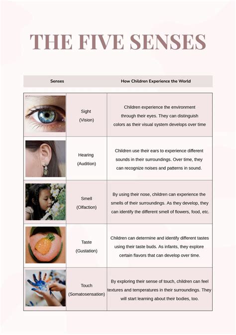 Five Senses Chart In Illustrator Pdf Download