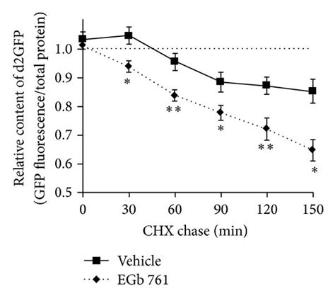 Effects of EGb 761 on basal proteasome activity. (a) HEK293 cells were ... 