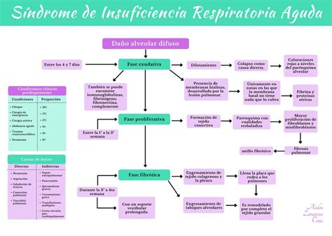 Síndrome de Insuficiencia Respiratoria Aguda MedwithAis uDocz