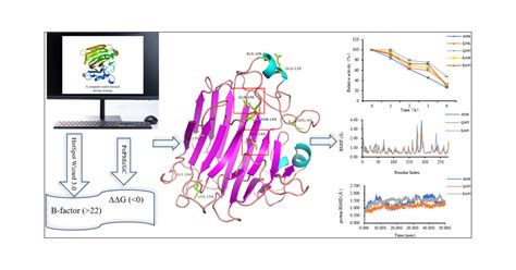 Computer Aided Rational Design Strategy To Improve The Thermal