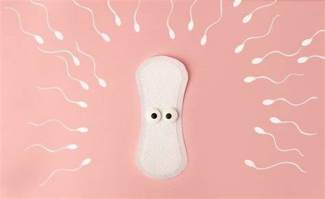 Myths About Period Sex Imbue Natural