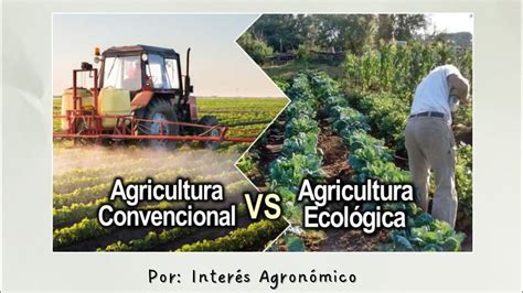 Agricultura Convencional 🚜 Vs Agricultura EcolÓgica 👨🏻‍🌾 Diferencias