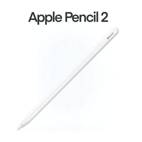 Ripley Apple Pencil Segunda 2da GeneraciÓn