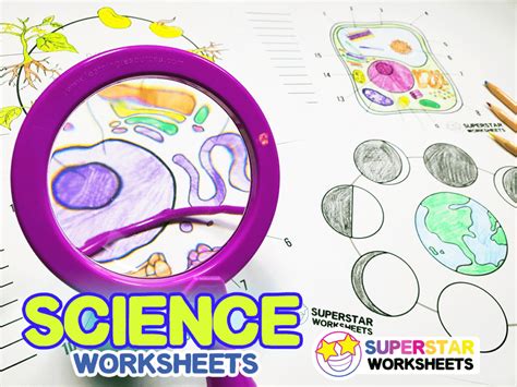 Science Worksheets - Superstar Worksheets