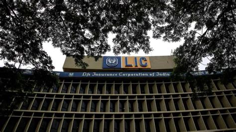 Ipo Bound Lic Asks Policyholders To Update Pan For Participation In Public Offer Zee Business