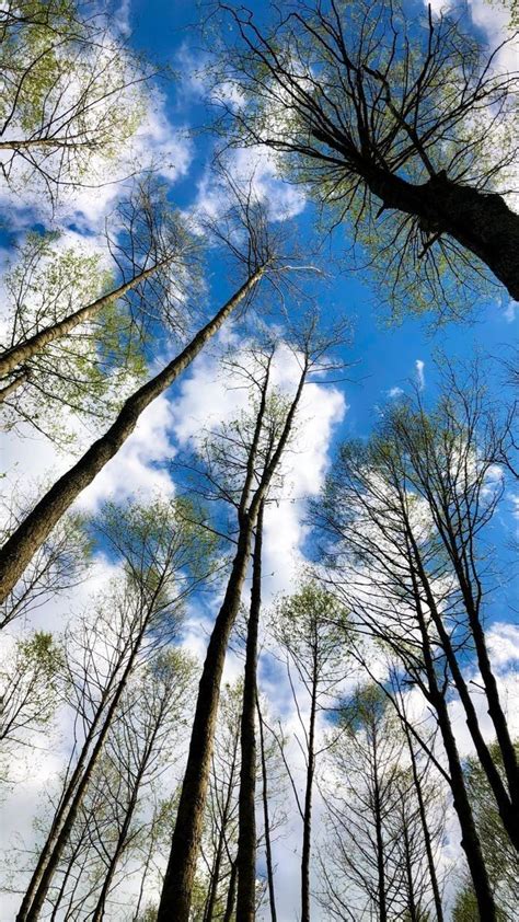 Pin By Edyta Komadowska On Krajobraz Nature Outdoor Clouds