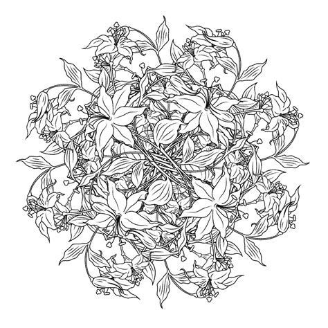 Mandala Kleurplaten Voor Volwassenen Bloemen Dieren Kleurplaten Porn Sex Picture