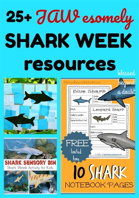 New Math Freebies For Shark Week Artofit