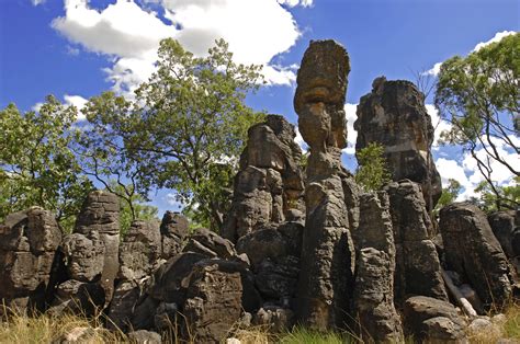 Litchfield National Park | Alle tips, reviews en reizen vind je op