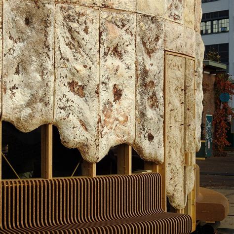 Pavilion Grown From Mycelium Acts As Pop Up Performance Space At Dutch