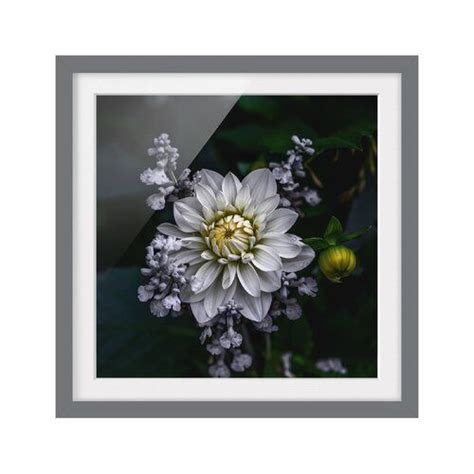 Gerahmtes Poster White Dahlia East Urban Home Größe 30 cm H x 30 cm B