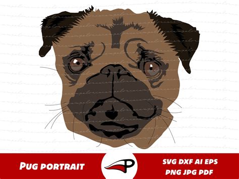 Puppy Face Dog Face Cute Pugs Cute Puppies Digital Drawing Digital