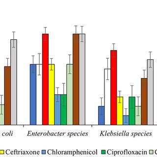 Antimicrobial Resistance Pattern Of Gram Positive Bacteria Isolates