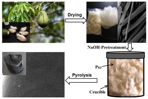 Molecules Free Full Text Biobased Kapok Fiber Nano Structure For