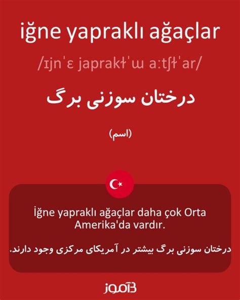 ترجمه کلمه iğne yapraklı ağaçlar به فارسی دیکشنری ترکی استانبولی بیاموز