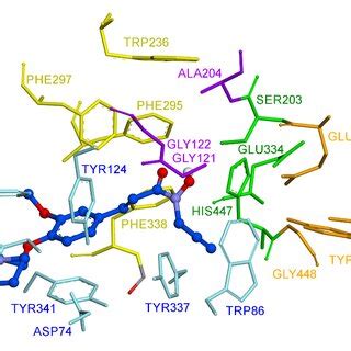 Binding Mode Of Compound 4 In The Active Site Of HAChE Compound 4 Is