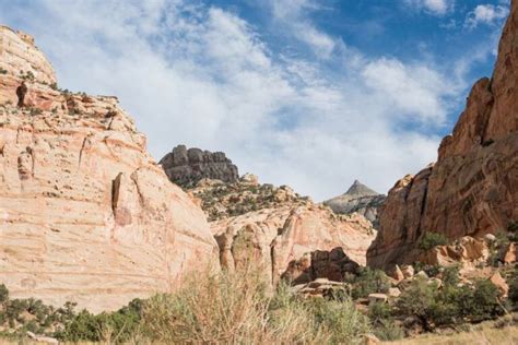 15 Things To Do In Capitol Reef National Park Insiders Utah