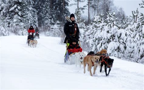 Vuokatti Safaris EN – Adventures and tours all year round