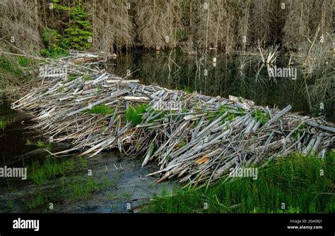 Dam Of River Hi Res Stock Photography And Images Alamy