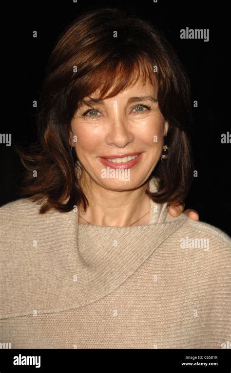 Anne Archer Hi Res Stock Photography And Images Alamy