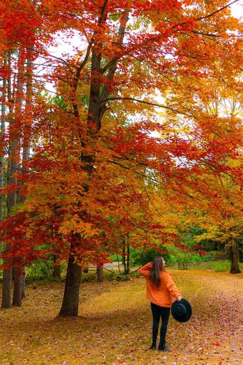 Top 3 Best New England Fall Foliage Road Trip Ideas