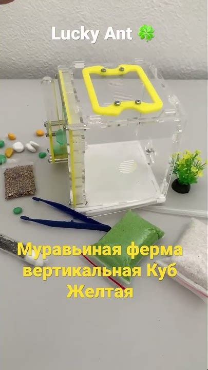 Муравьиная ферма Куб #муравьинаяферма #фермадлямуравьев # ...