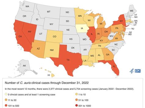 Deadly Fungus Outbreak 2024 - Winne Karalynn