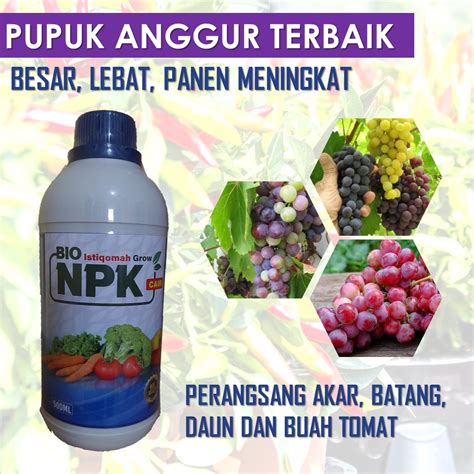 Jual 500 ML OBAT PELEBAT TANAMAN Buah Anggur BIO ISTIQOMAH GROW OBAT