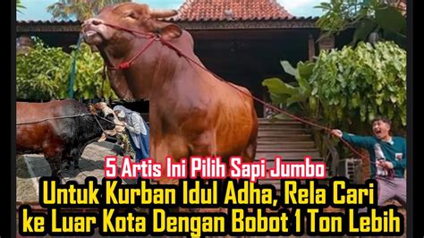 Artis Ini Pilih Sapi Jumbo Untuk Kurban Idul Adha Rela Cari Ke Luar