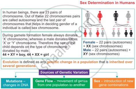 Write A Short Note On Sex Determination In Man Biology Shaalaa