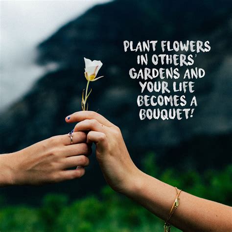 10 Inspirational Flower Quotes To Warm You Up In Cold Weather Floral